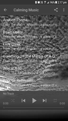 Calming Music screenshot 1