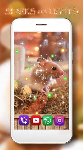 Hamsters Funny Live Wallpaper screenshot 5
