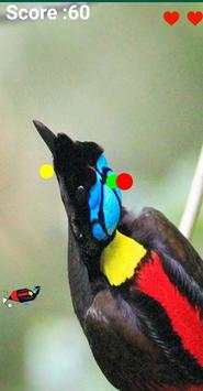 Bird Of Paradise screenshot 4