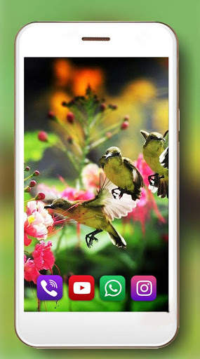 Birds Amazing Live Wallpaper screenshot 5