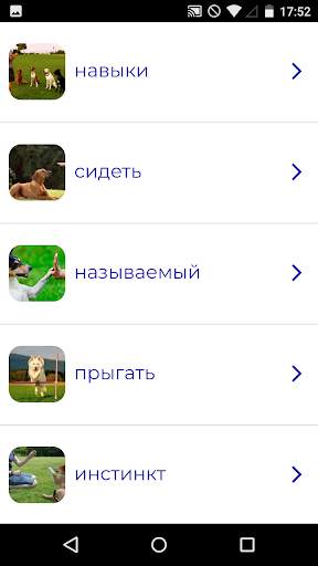 Тренировочный курс для собак скриншот 1