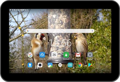 Birds Live Wallpaper screenshot 7