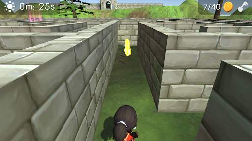 3D Maze (The Labyrinth) screenshot 3
