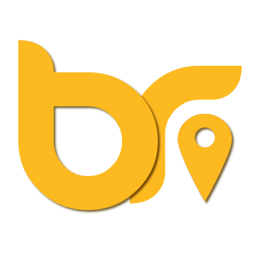 Boss Ride Driver icon
