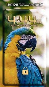 Bird wallpapers screenshot 5