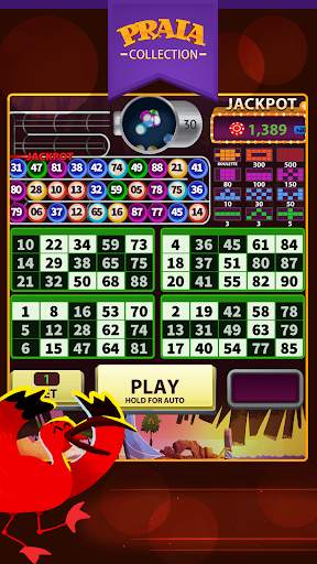 Jeri Video Bingo screenshot 1