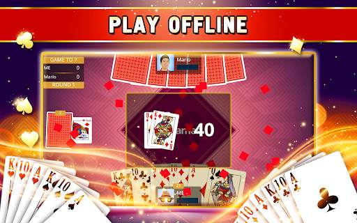 Sixty-Six Offline - Card Game screenshot 9