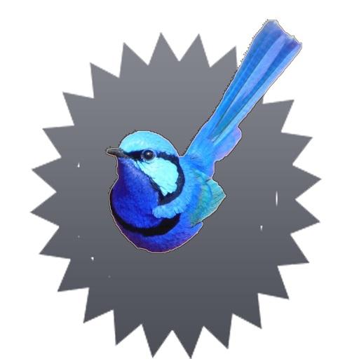 super merion icon