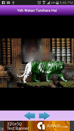 Pakistani National Songs screenshot 6