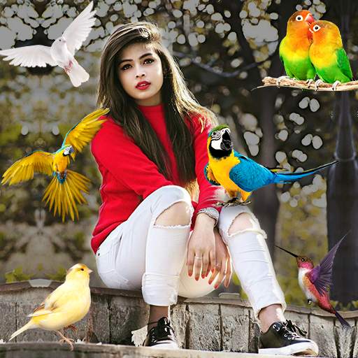 Birds Photo frame : Bird photo editor 1.0.0