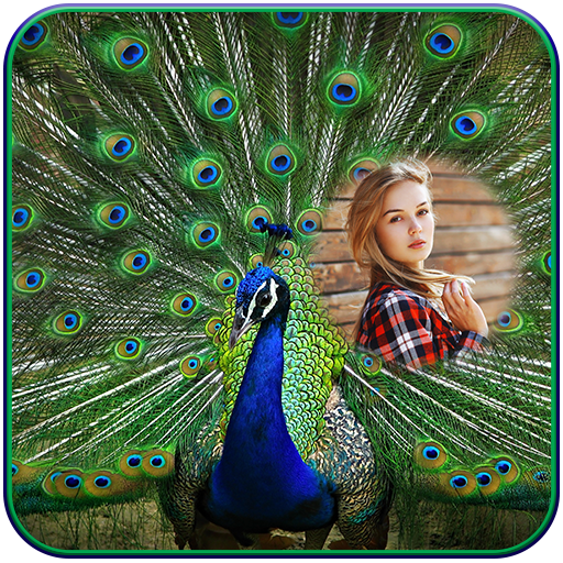 Peacock Photo Frames icon