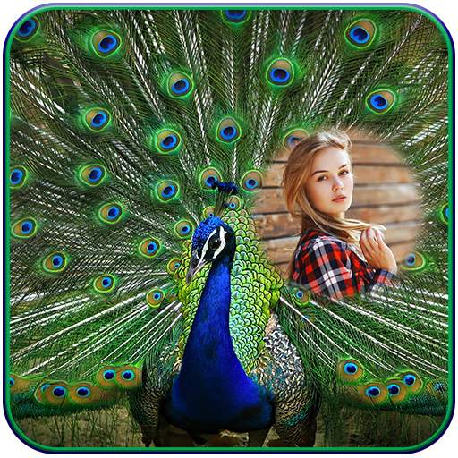 Peacock Photo Frames 1.5