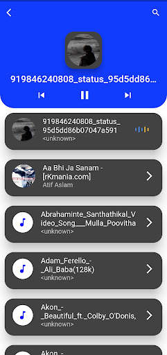 Max player screenshot 7