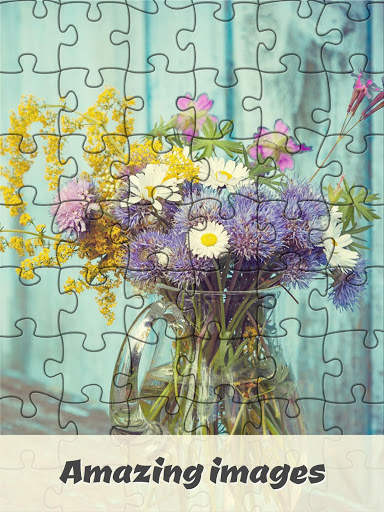 Jigsaw Puzzle Game screenshot 6