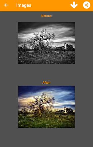 Black and White Photo Colorizer - Chromatix screenshot 7