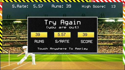 Blokstok Cricket screenshot 3