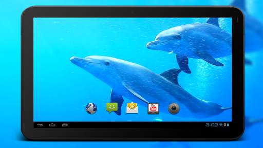 4K Dolphins Video Live Wallpaper screenshot 6