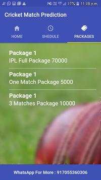 IPL Match Prediction screenshot 3