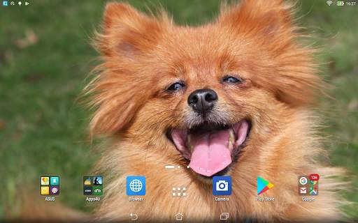 Spitz live wallpaper screenshot 4