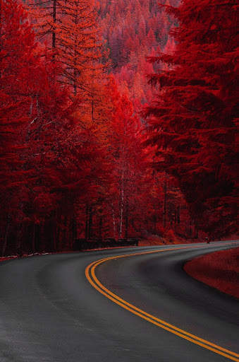 HD Road Wallpaper screenshot 10