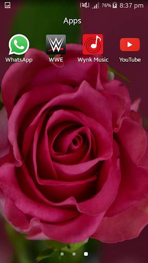 Live Rose Wallpaper screenshot 4