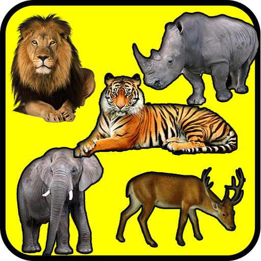 1000  Animal Sounds icon