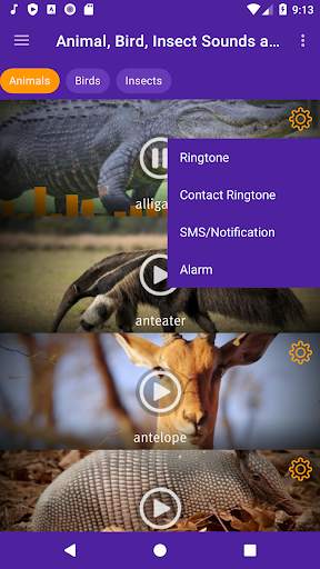 Animal, Bird, Insect Sounds and Ringtones screenshot 3