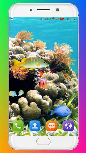 Aquarium Wallpaper HD screenshot 4