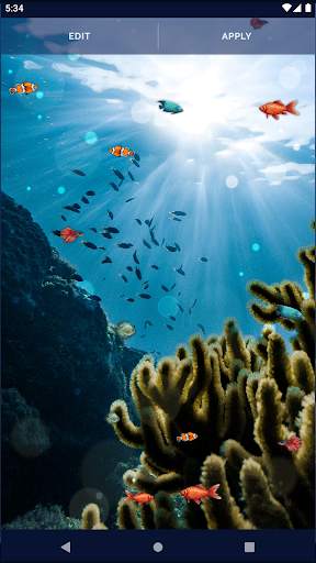 Ocean Fish Live Wallpaper 4K screenshot 8