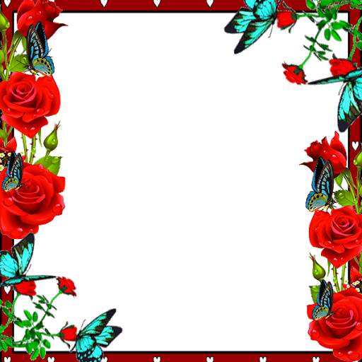 Butterfly Insta DP screenshot 5