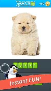 Zoomed In - Photo Word Game screenshot 4