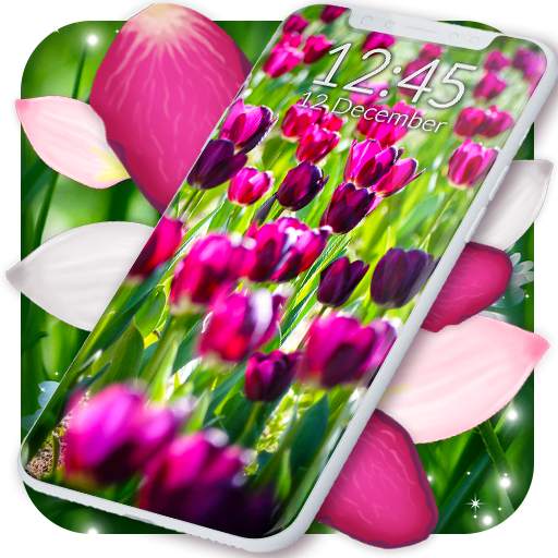 Spring Petals Live Wallpaper 6.8.4