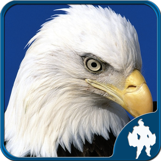 Jigsaw Oiseaux icon
