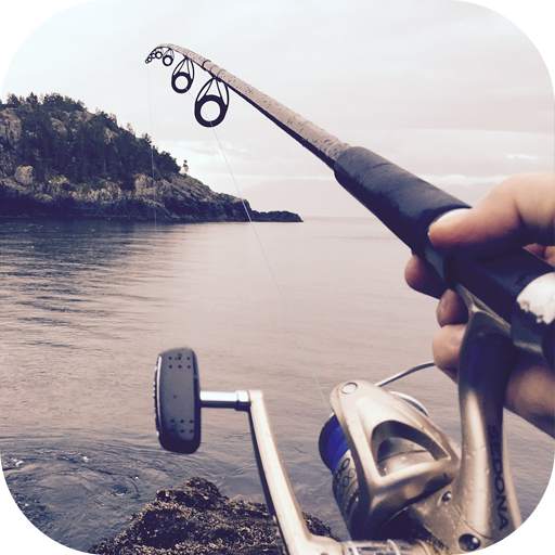 Fishing Paradise 3D Free  1.17.6