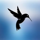 MindSky أيقونة