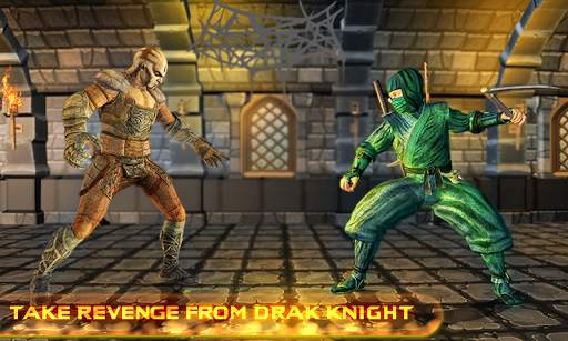 Street Kung Fu Do Fighting Vs Real Shadow Ninja screenshot 1