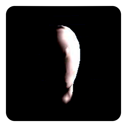 Slender: The Asylum icon