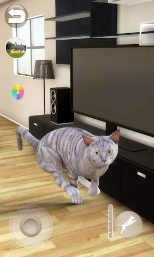 Talking Tabby Cat screenshot 4