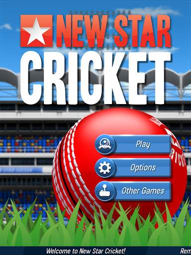 New Star: Cricket screenshot 7