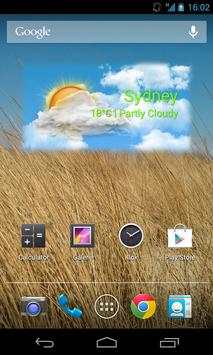 Simple Weather Widget screenshot 4