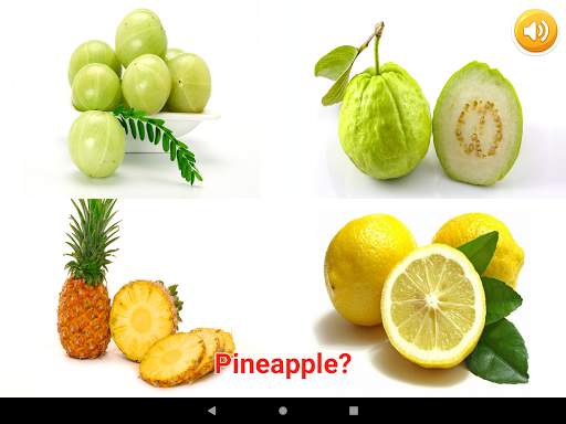 Fruits & Vegetables скриншот 11