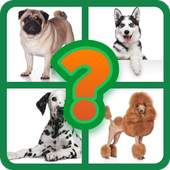 Popular Dog Breeds Quiz 7.4.3z