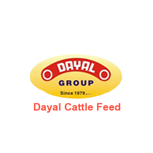 Dayal Group icon