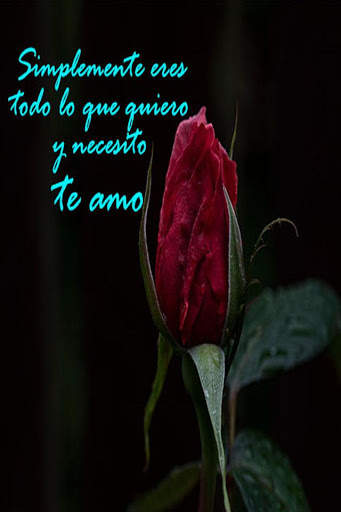 Rosas de Amor screenshot 9