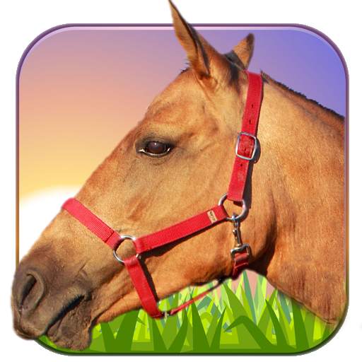 Horse Ride 3D 1.6