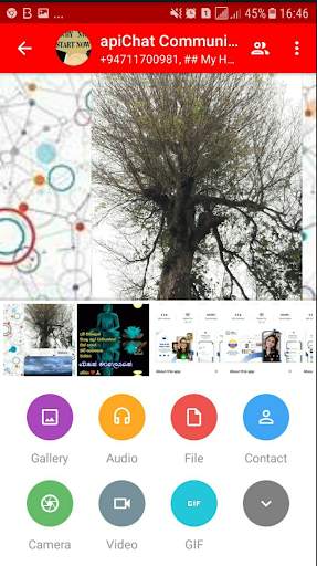 apiChat - Free Video Calls  and Text Chat screenshot 4
