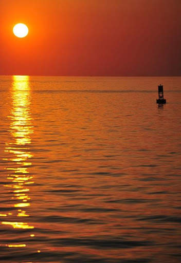 Florida Wallpaper Travel screenshot 10