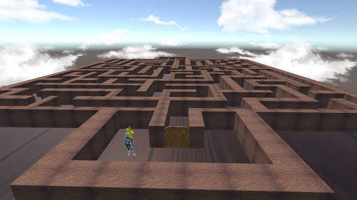 3D Maze Pro screenshot 3