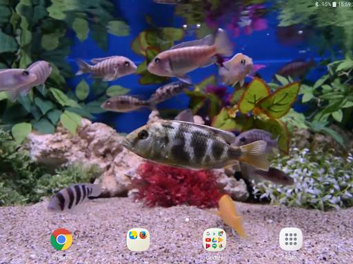 Aquarium Video Wallpaper screenshot 9