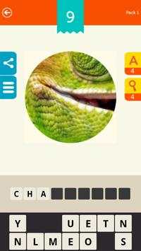 Guess the Pic! screenshot 5